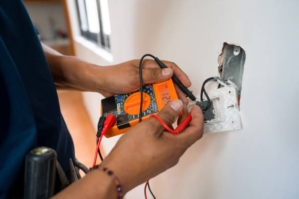 Best Electric Panel Repair  in Lakeside, FL